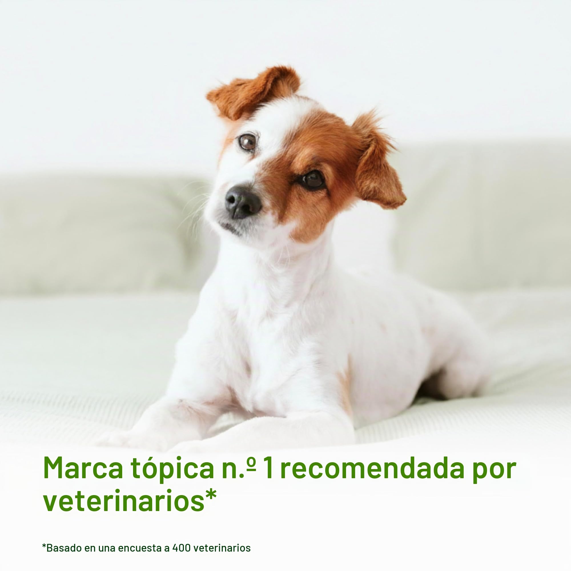 Douxo S3 SEB Mousse, Contiene 0.5% de ofitrio, Control de olores y seborregulador, para Piel Grasa a escamosa, seborrea, para Perros y Gatos, 5 onzas líquidas