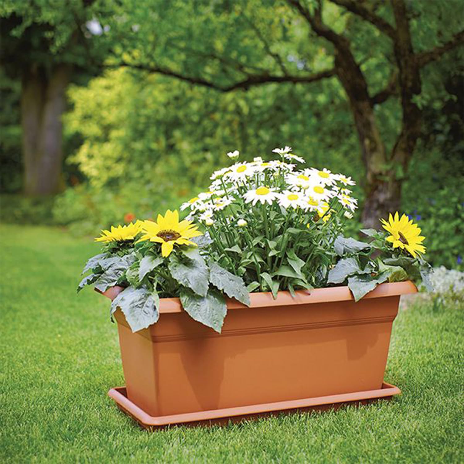 Fioriera + Sotto Fioriera Mediterraneo STEFANPLAST (Terracotta, CM.100)