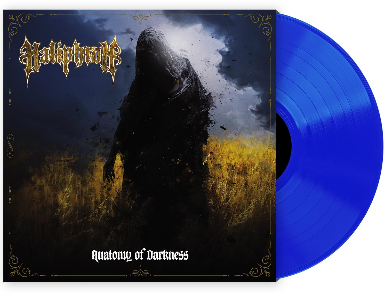 Anatomy of Darkness [VINYL]