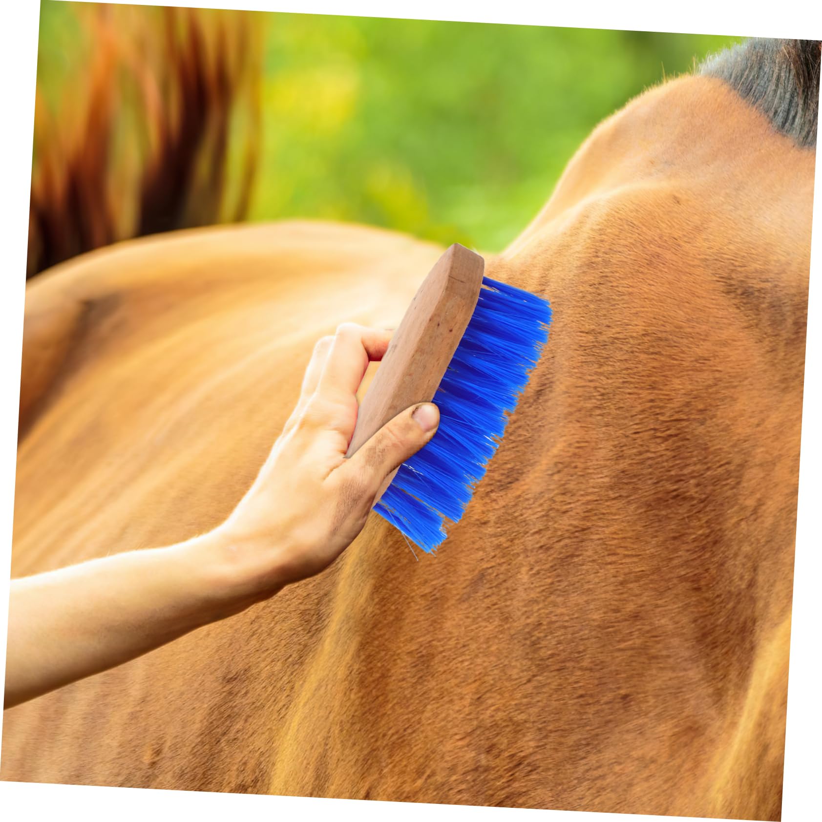 Gatuida 5piezas Cepillo Para De Cerdas Herramienta De Limpieza Para Cuidado y Para Mantener y