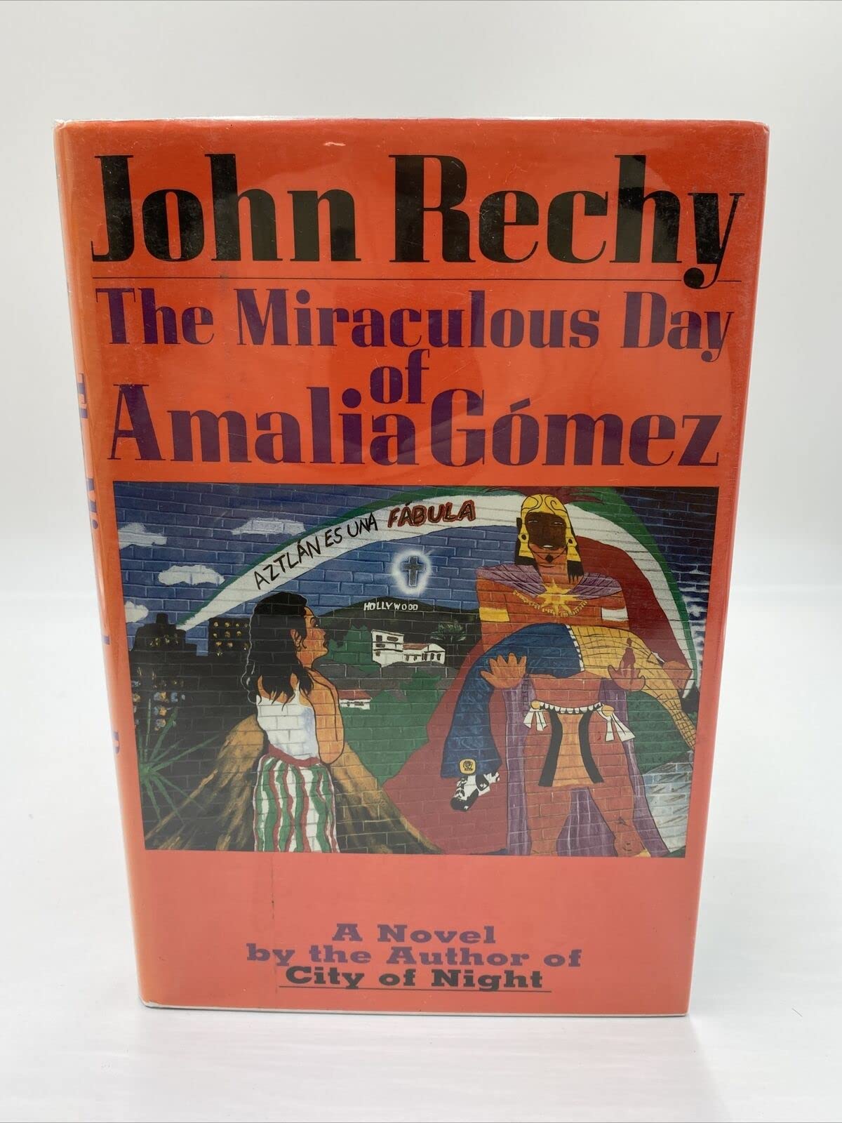 The Miraculous Day of Amalia Gomez: A Novel Hardcover – 1 Sept. 1991