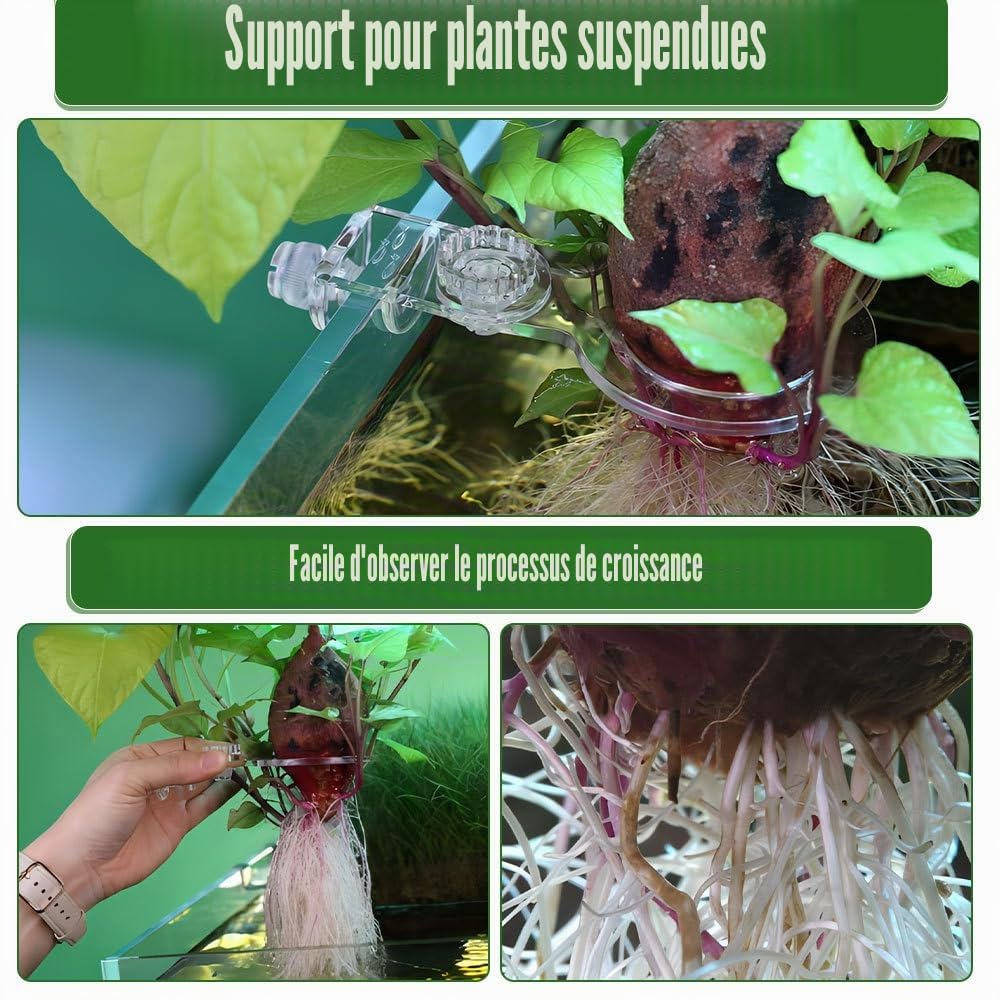 DONGKER Support pour Plantes D'aquarium,Support de Pothos Suspendu pour Aquarium,Plage Réglable en Hauteur de 5 cm pour Une Épaisseur de Paroi D'aquarium Jusqu'à 1,5cm