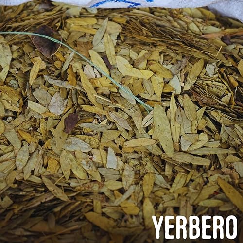 Miniatura 4 de Yerbero - Hierbas sueltas de hoja de sena  Senna alexandrina  Hoja Sen Entera Deshidratada  Hojas enteras secas para preparar tés, hierbas cortadas