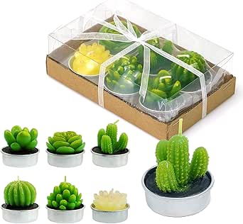 Candele succulente, novità cactus candela tealight candela baby shower candele decorazioni per bomboniere terrario cactus candele Home Decor