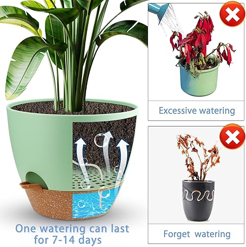 Vista 21 de Dorcy Macetero de riego automático de 12 pulgadas, macetas grandes con depósito extraíble profundo y agujeros de drenaje de malla múltiple, macetas