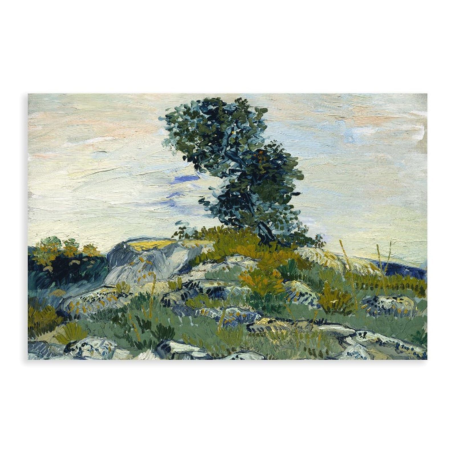 Poster vintage The Rocks di Vincent Van Gogh per l'estetica della stanza, stampa artistica da parete su tela, 61 x 91,4 cm