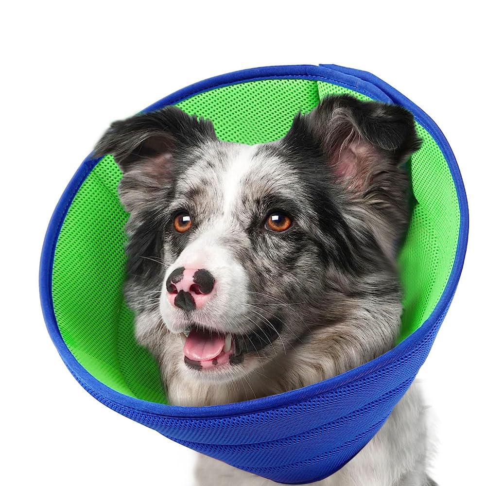 Dog Cone Collar for Dog After Surgery, Adjustable Dog Recovery Cone Collar for Large Medium Small Dogs, Prevent Pet Puppy Bite Licking Scratching Touching, Help Dog Healing from Wound XL