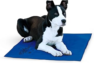 K&H PET PRODUCTS Coolin' Pet Pad Large Blue 20" x 36"