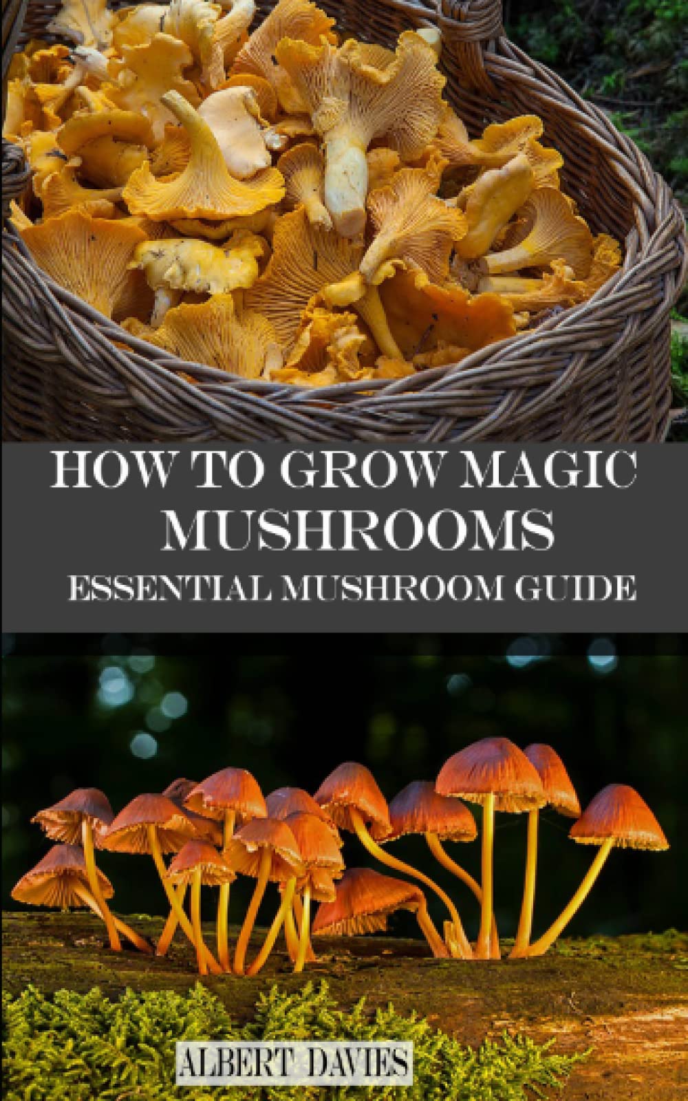 HOW TO GROW MAGIC MUSHROOMS: Essential Mushroom Guide