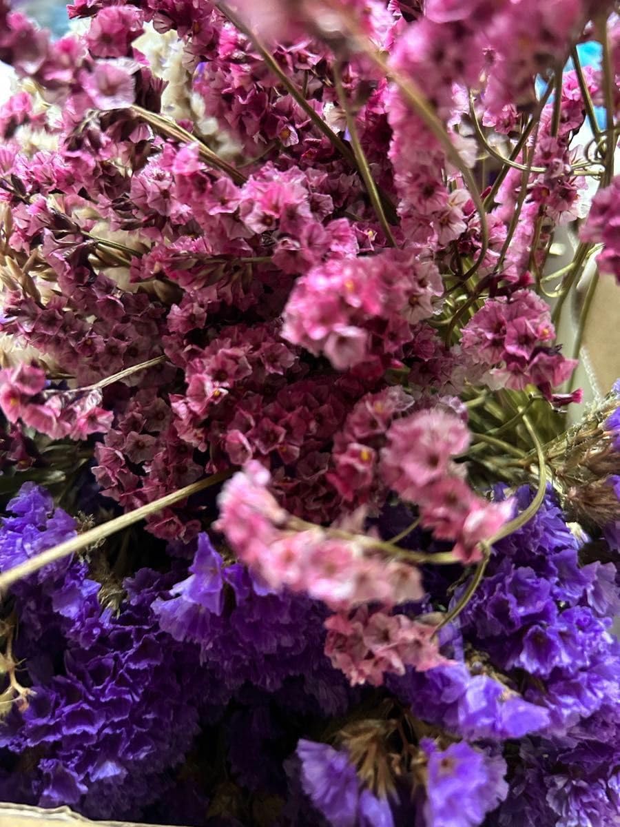 ピンクのリース【ハイブリッドスターチス】ドライフラワー 【公式通販】