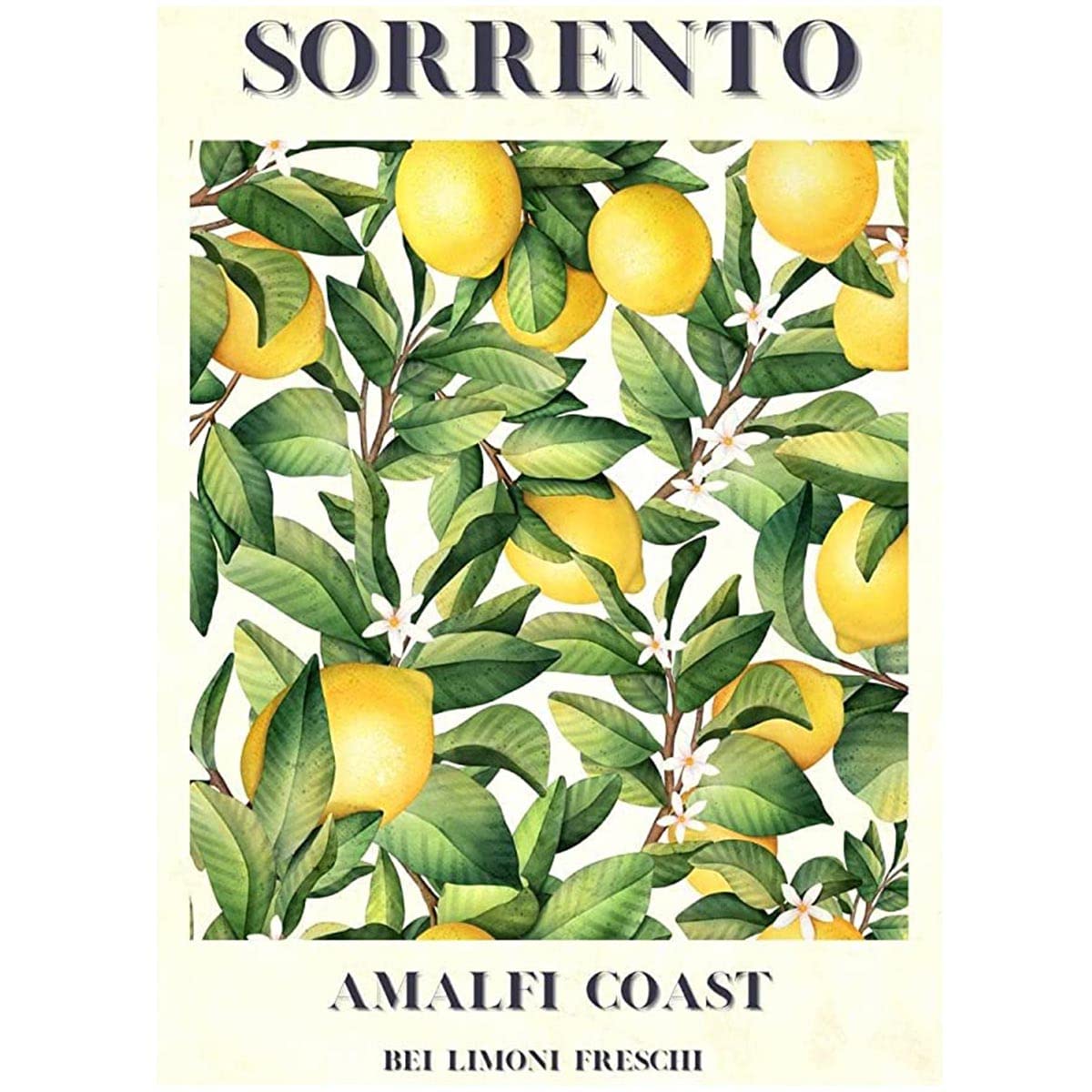 Bioprocess Fruit Market Sorrento Lemons Wall Decor Poster Metal Sign 8X12 Inches