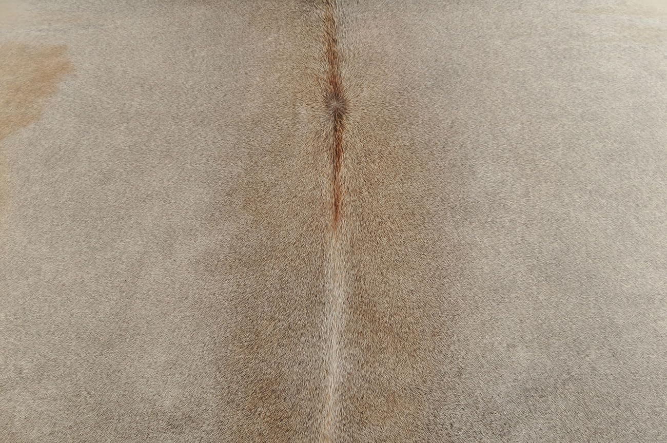 KUHFELL RINDERFELL GRAU BEIGE ca. 200 x 230 cm Fell Teppich VON KUHFELLE ONLINE