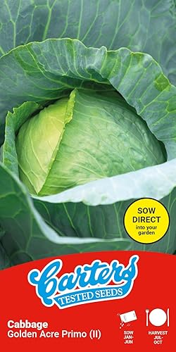 Carters Cabbage Golden Acre Primo Seeds Summer Autumn Crop Easy