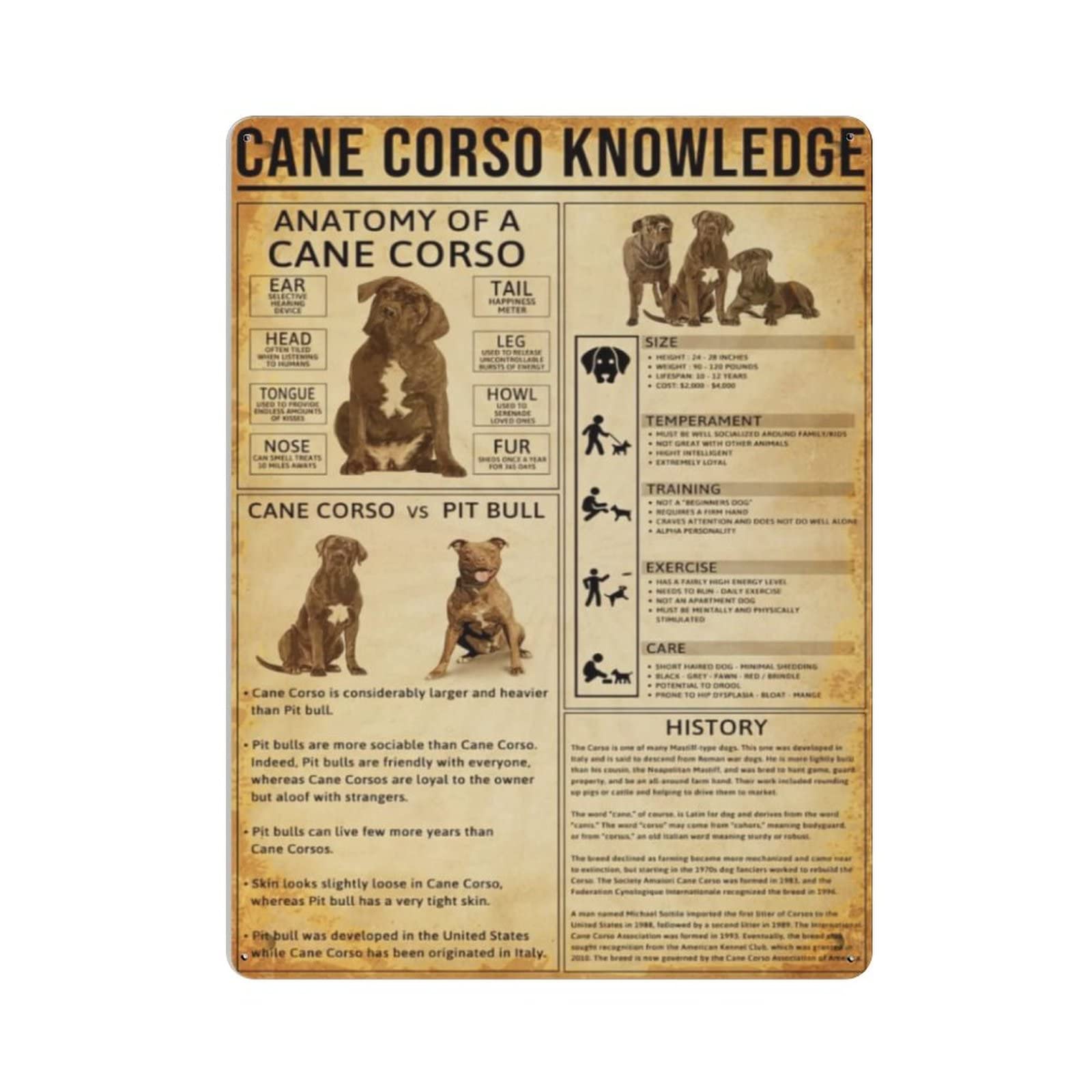 AOOEDM Cane Corso Knowledge Vintage Tin Sign Metal Tin Signs for Man Cave Funny Art Wall Plaque Kitchen Bar Pub Coffee Shop Wall Decor