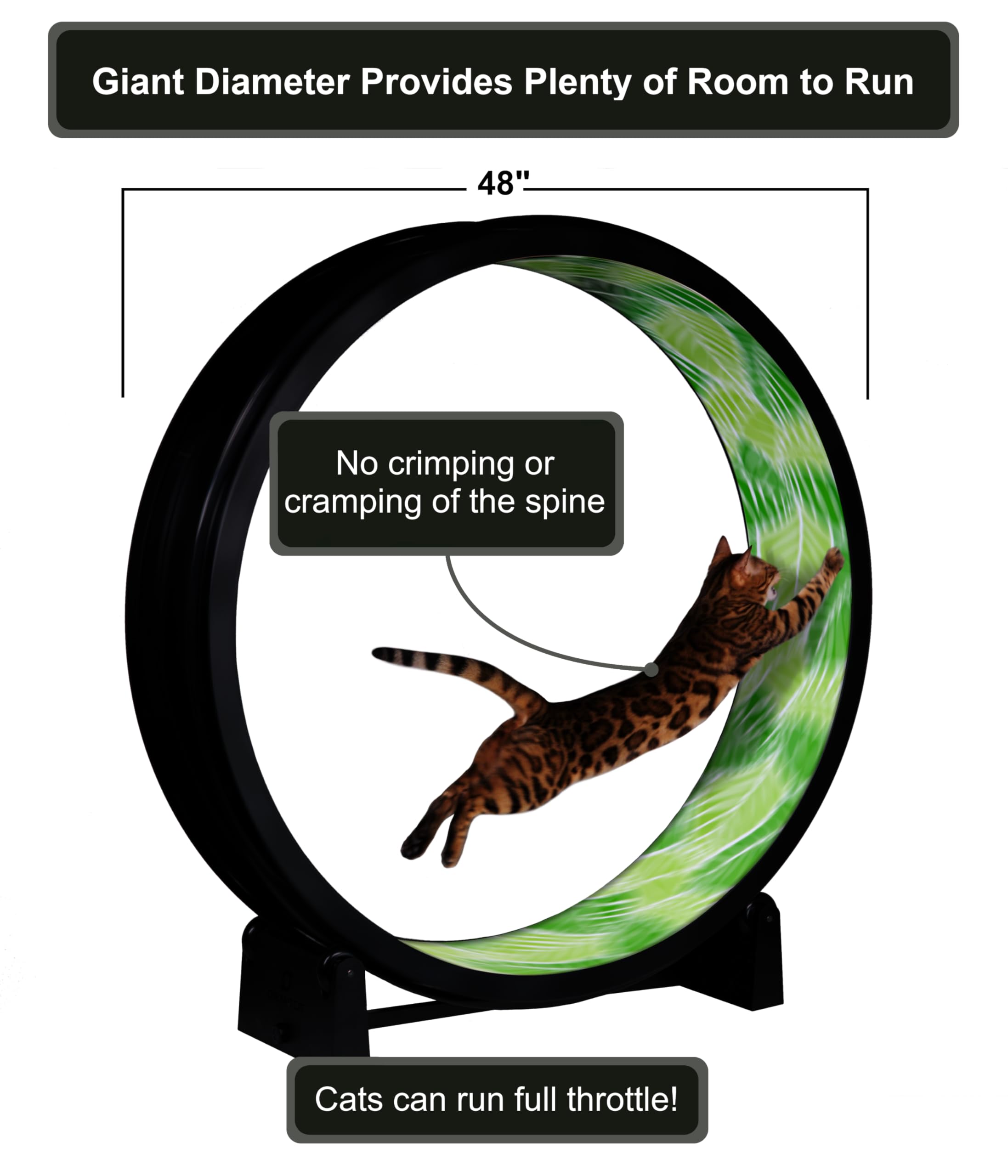 専用　キャットホイール　ONE　FAST　CAT ONE FAST CAT - Cat Exercise Wheel - Gen. 7 - Safe 48