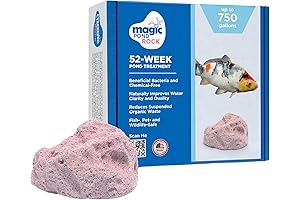 Magic Tank Rock: Crystal Clarity in Your Aquarium
