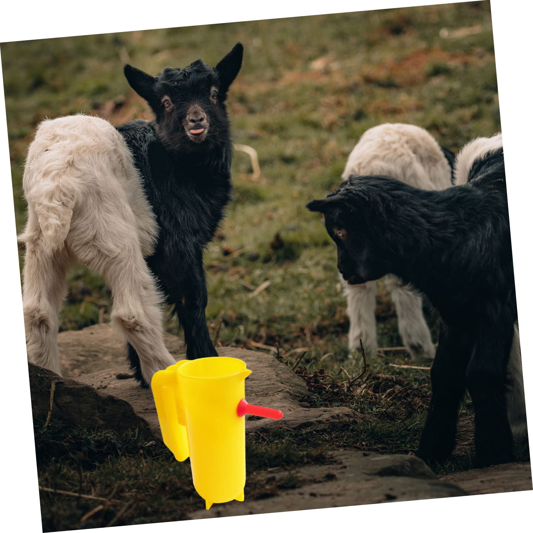 UPKOCH 5 Ensembles Biberon Biberons Biberons Biberon De Lait Tétine De Biberon Pour Animaux Tétine De Biberon Pour Vache Accessoire D'Alimentation Pour Agneau Tétine 3 pièces * 5