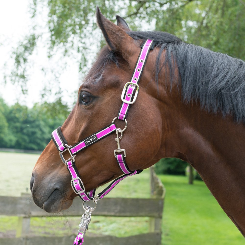 CALEVO - Head Collar Stripes