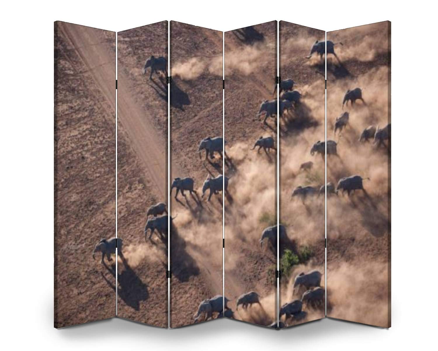 Buy Wood Screen Room Divider kenya from the air african animals stock