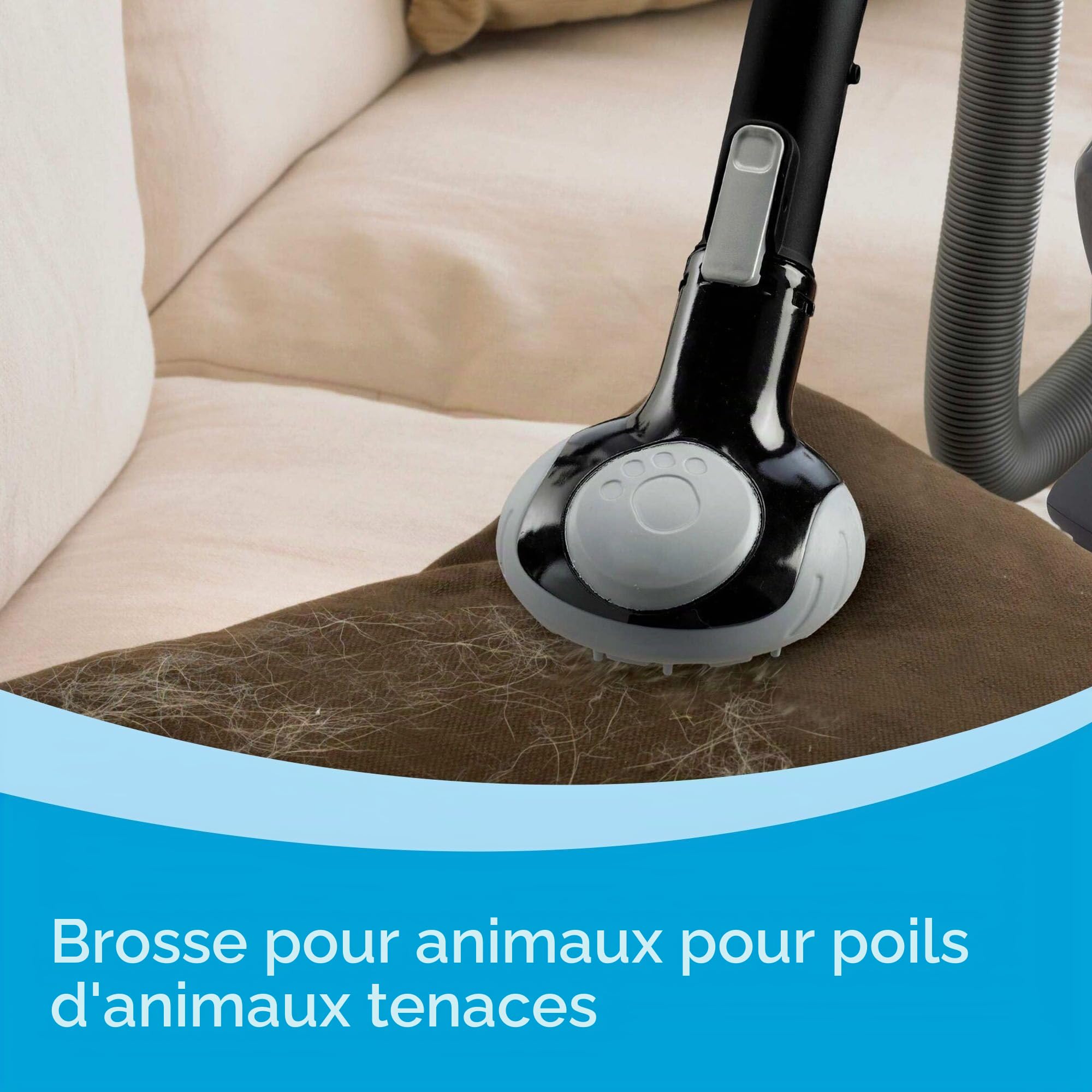 Black + Decker Aspirateur Flexible au Lithium BDH2020FL 20 V Max avec Brosse à Poils d'animaux – sans Fil