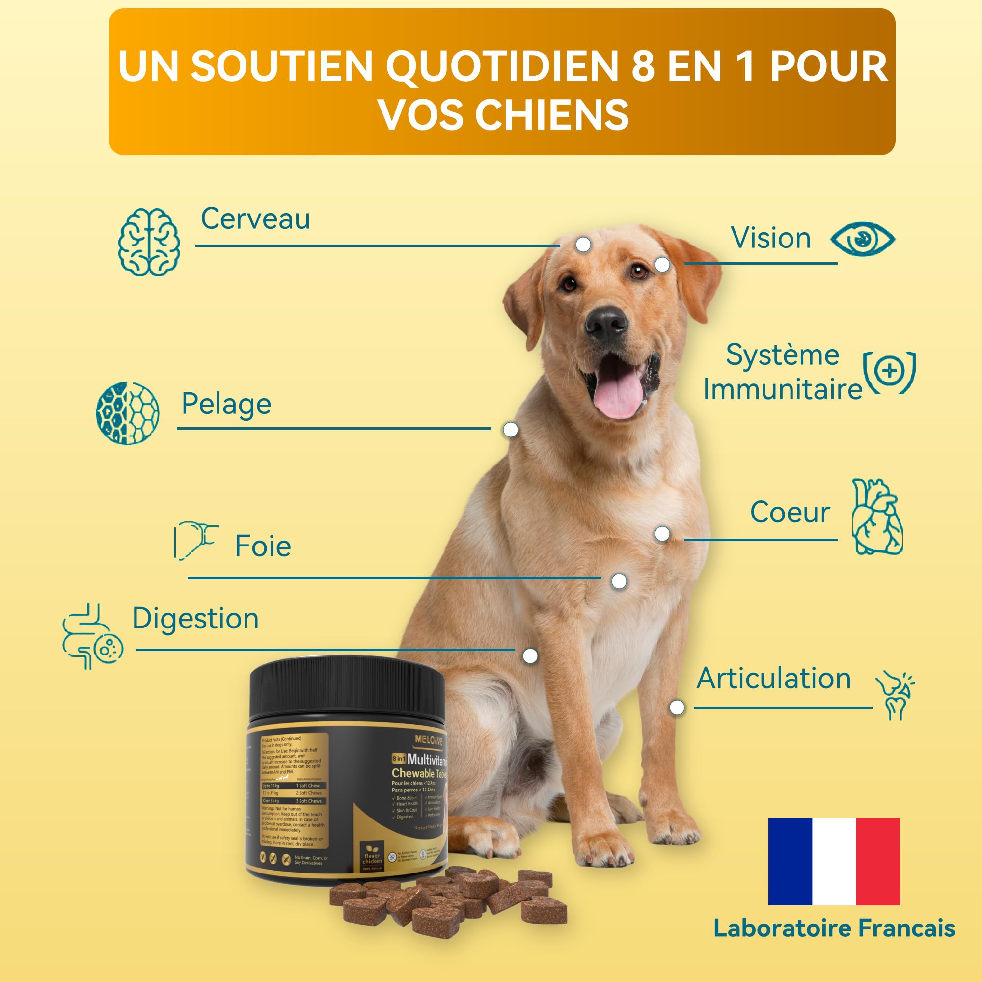 Meloive 8 en 1 Multivitamines pour Chien | Compléments Alimentaires Premium pour Chiens | Vitalité, Probiotiques, Articulations, Pelage, Immunité, Coeur, Cerveau | Au Poulet | 120 Comprimés