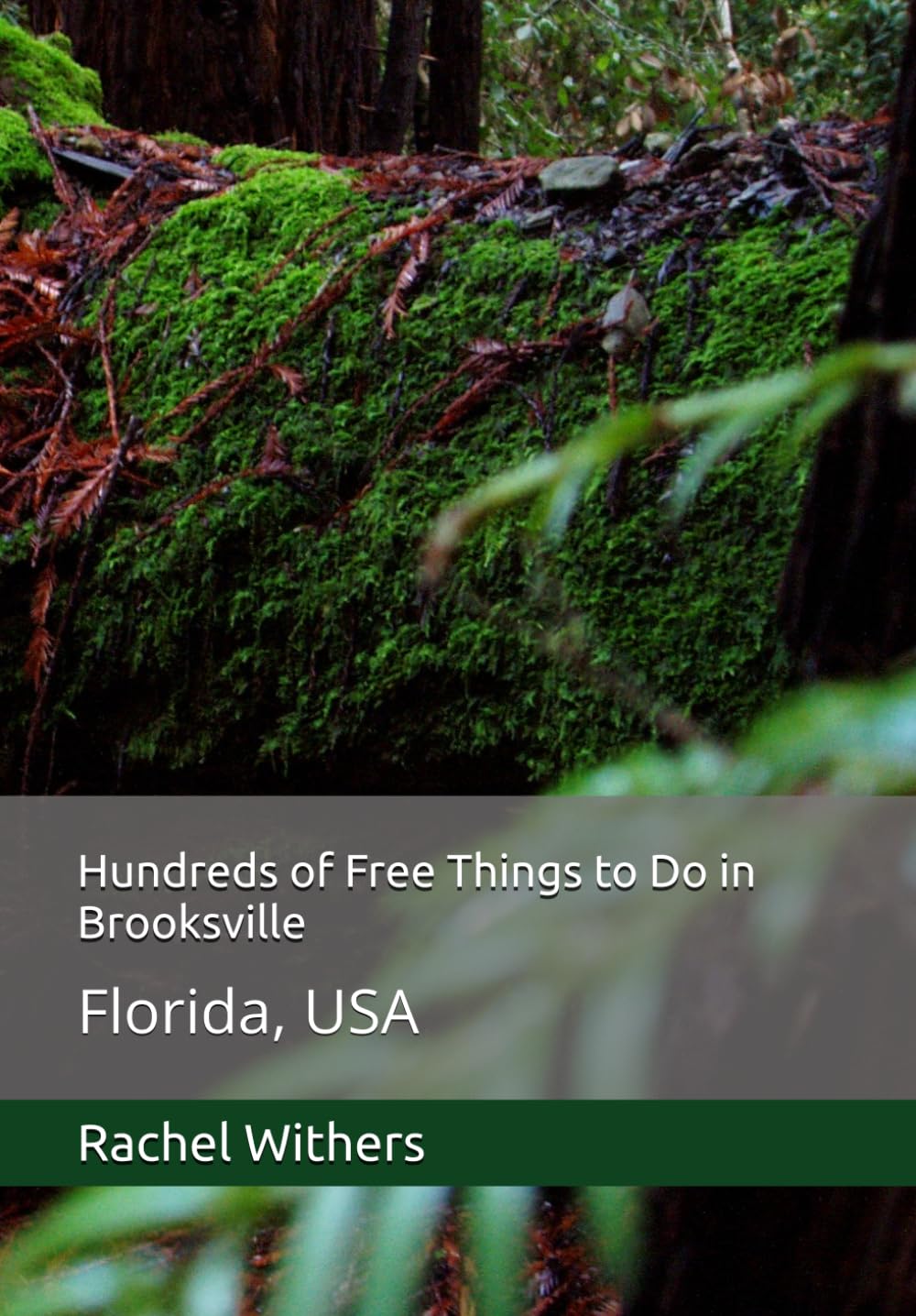 Hundreds of Free Things to Do in Brooksville: Florida, USA