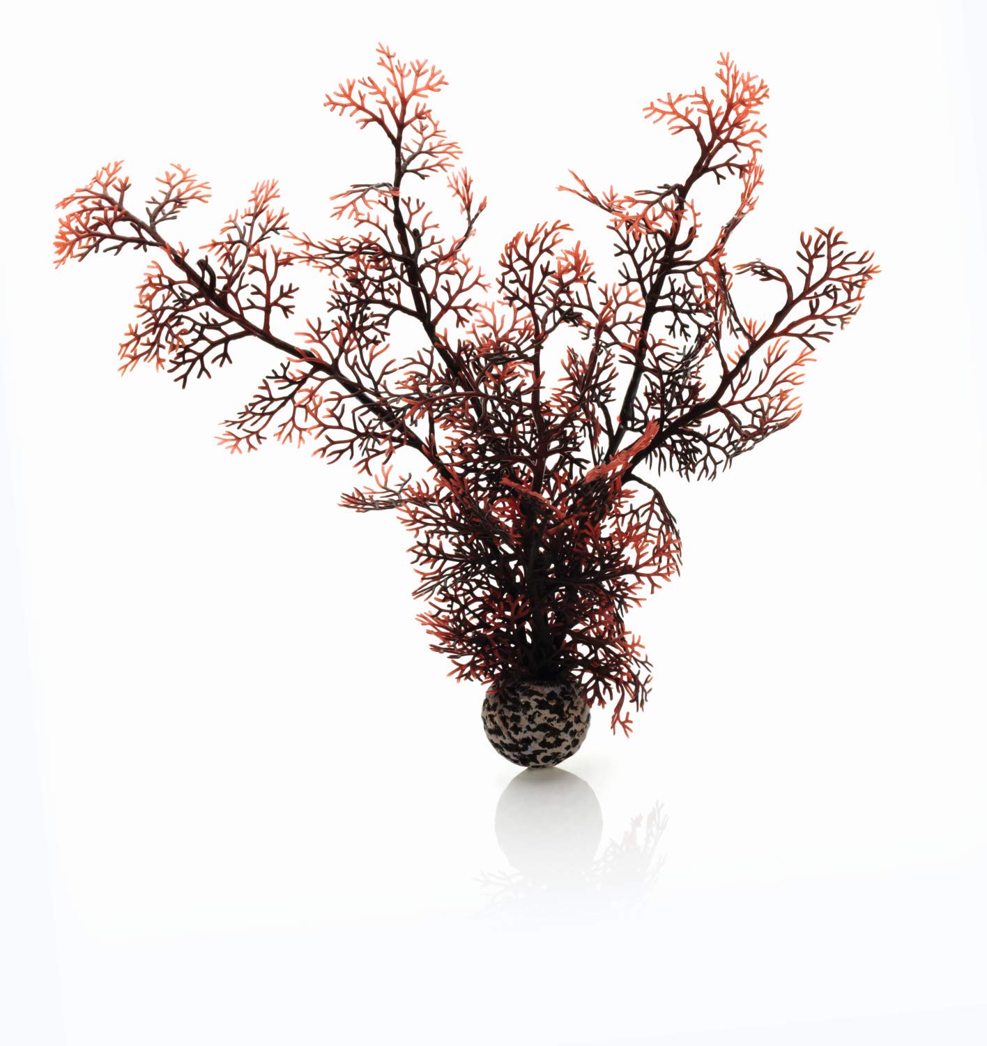 Photo 1 of biOrb Sea Fan Medium Crimson