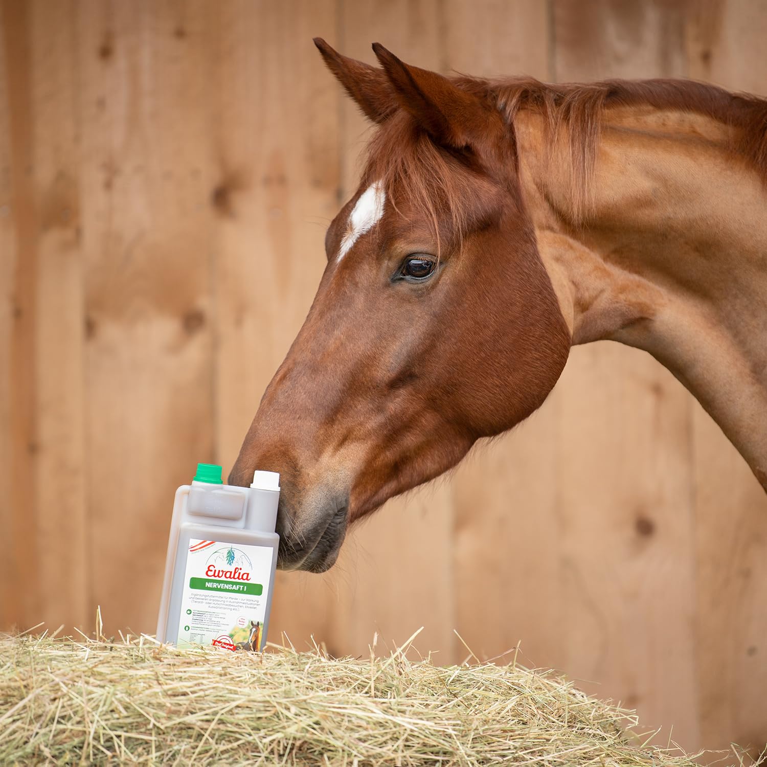 EWALIA Jugo nervioso I – Apoyo calmante para caballos en situaciones estresantes – Ayuda natural en visitas al veterinario, entrenamiento y más, desarrollado con veterinarios, 100% natural puro, 2 x 1