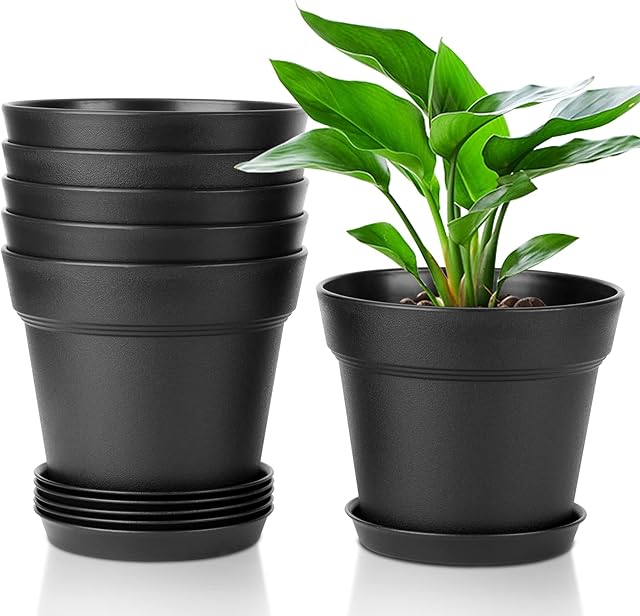 T4U Plastic Plant Pots 6-Pack, Flower Pot with Drainage Hole and Saucer, Classic Indoor Outdoor Plant Pots for Succulent, Snake Plant, Aloe Vera and All House Plants (16CM Opening Diameter, Black)