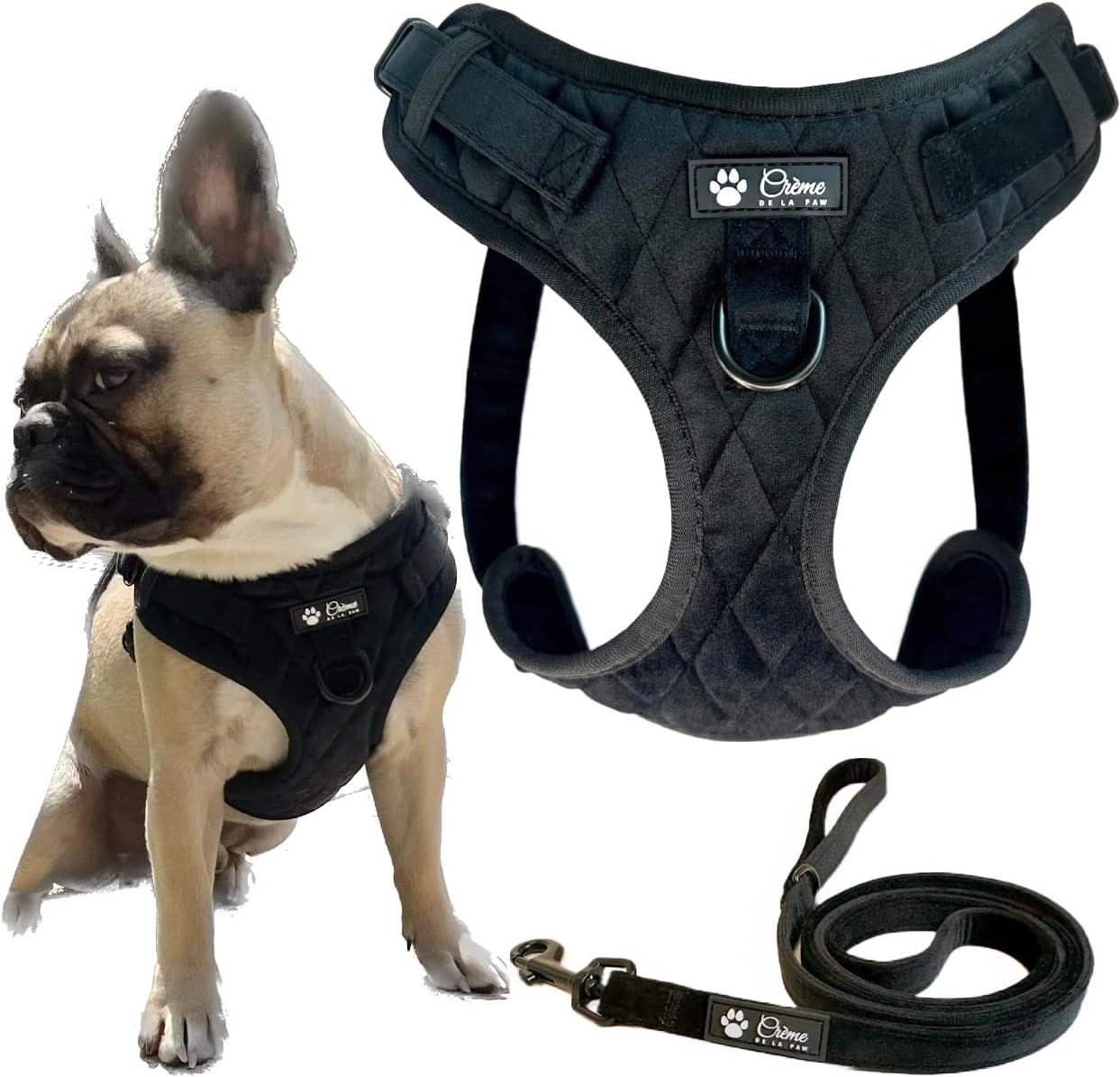 Cute Step-in No Choke No Pull Soft Padded Adjustable Small and Medium Quilted Velvet Dog Harness and Leash Set (Black, Small)