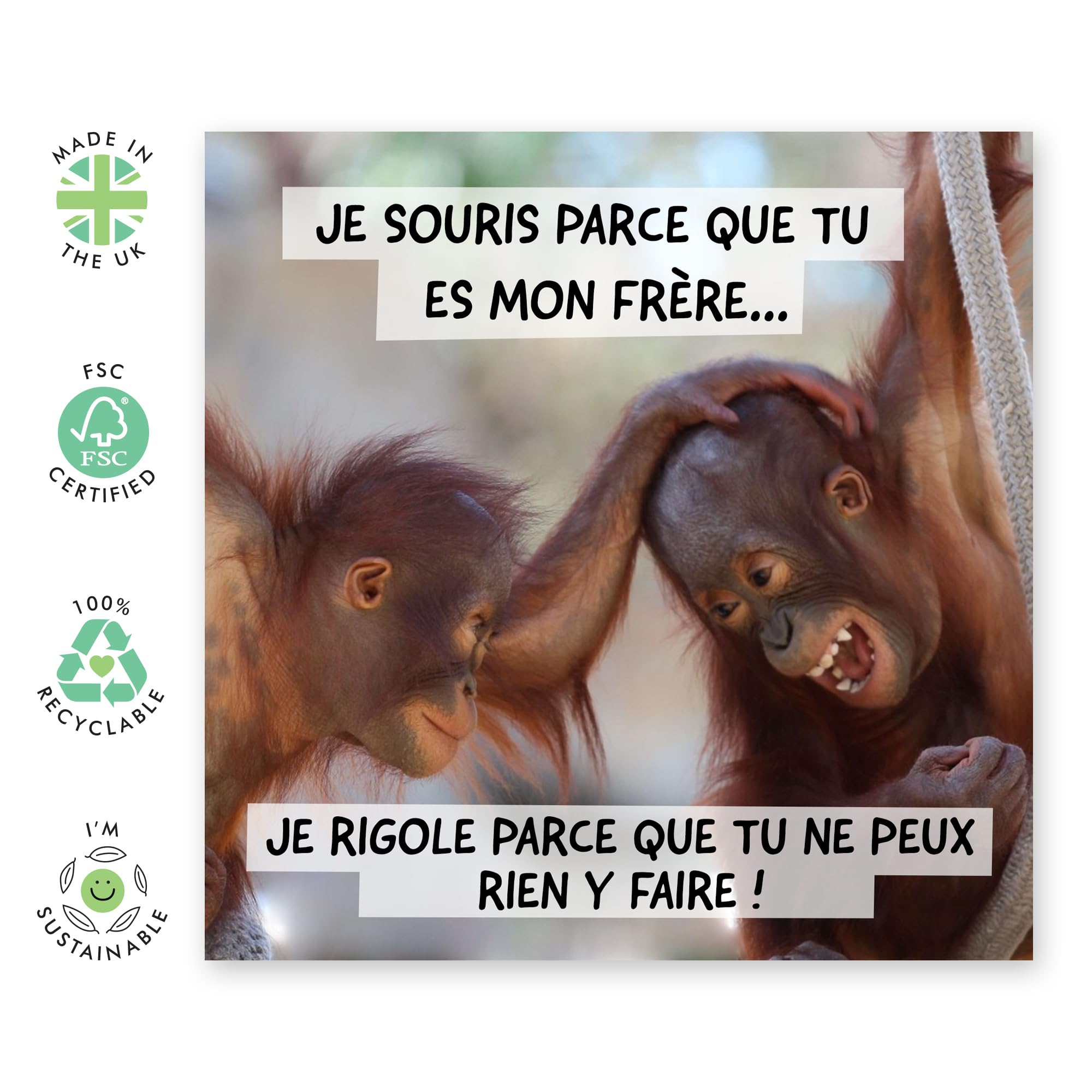 Cartes D'anniversaire Amusantes Pour Frère – Ma Sœur Préférée – Carte D'anniversaire Pour Frère De La Part D'une Sœur, Cadeaux De Plaisanterie, 145 Mm, Cartes De Vœux Humoristiques Pour Frères Et