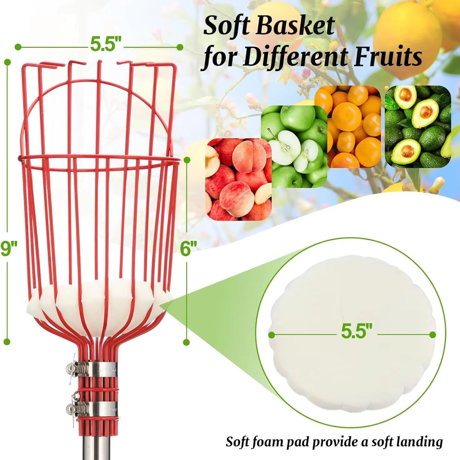 Fruit Picking Pole – Mango Avocado Picker with Basket, 13-Foot Extendable Handle Tool | Peach Pear Lemon Pomegranate Orange Harvesting Use, Garden Orchard Farm Workers, Comfortable Reach Collection