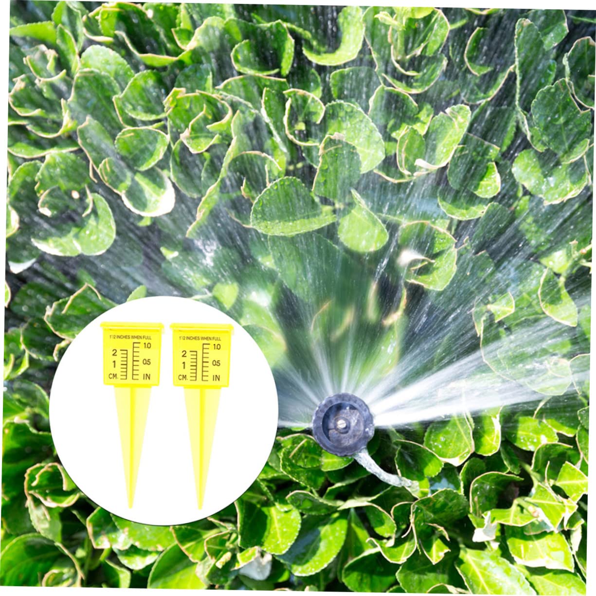 POPETPOP 15 Pz Dell'irrigatore Indicatore Dell'acqua Dell'irrigatore Pioggia Attrezzi Da Prato Misurazione Delle Precipitazioni Misurare Pluviometro Da Prato Irrigazione Plastica