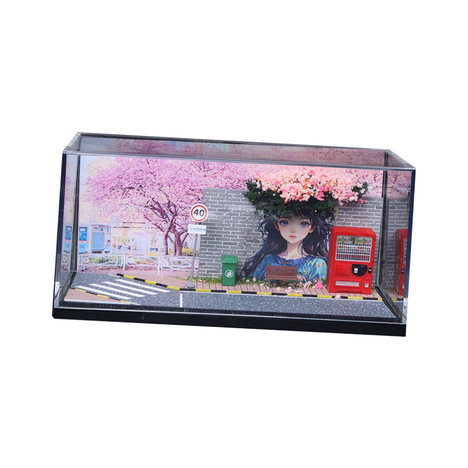 harayaa 1/64 Diorama Vitrine, Dekorativ, Staubdicht, Und Kreativ für Modellautos