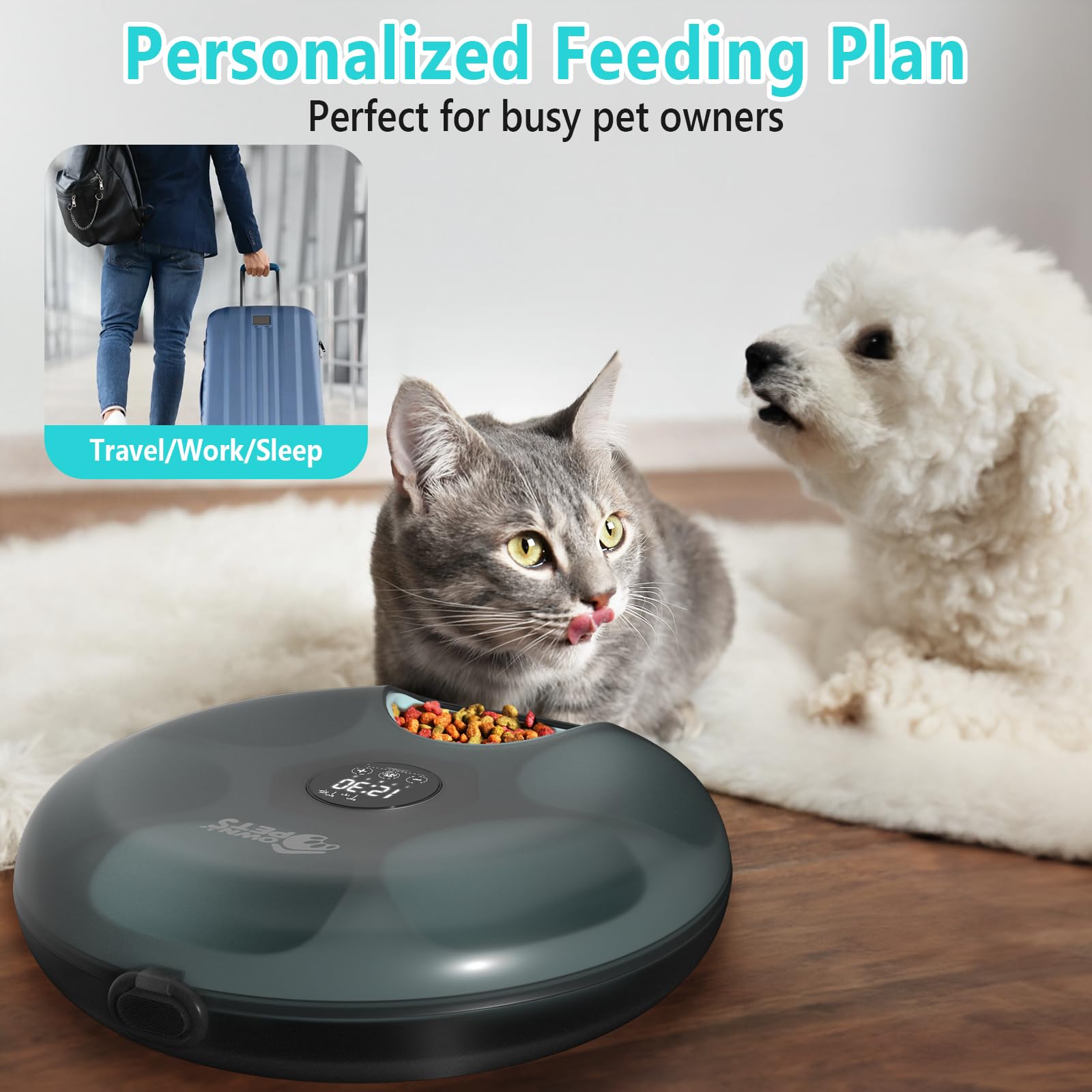 Ownpets Distributeur automatique de nourriture pour chat - 6 repas - Avec 2 blocs réfrigérants - Minuterie programmable - Alimentation automatique pour chats et chiens de petite taille