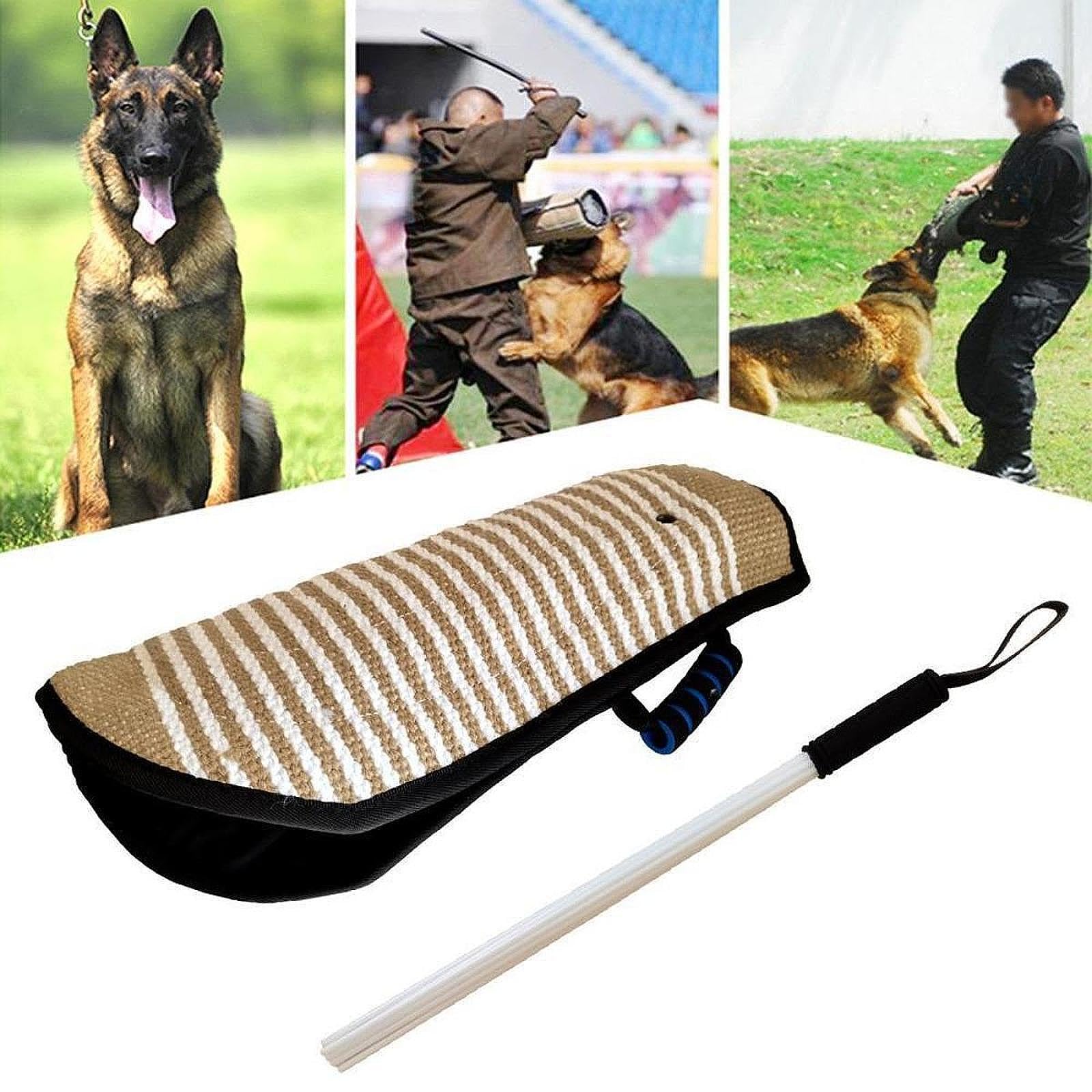 Manga antimordeduras para Perros, Juego de Entrenamiento para mordeduras de Perros, Brazo Resistente para sesiones de Entrenamiento al Aire Libre y