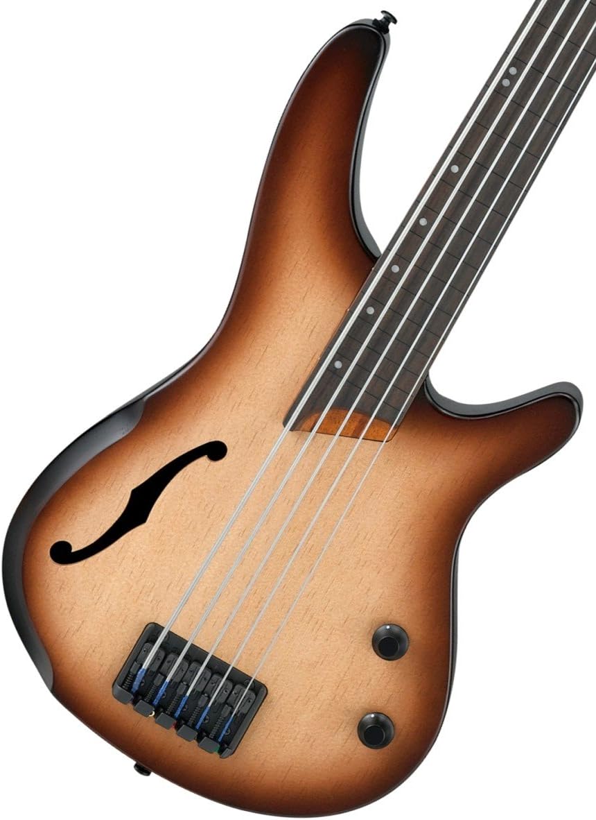 Ibanez SRH505F 5String Fretless Hollowbody Electric Bass Guitar Flat