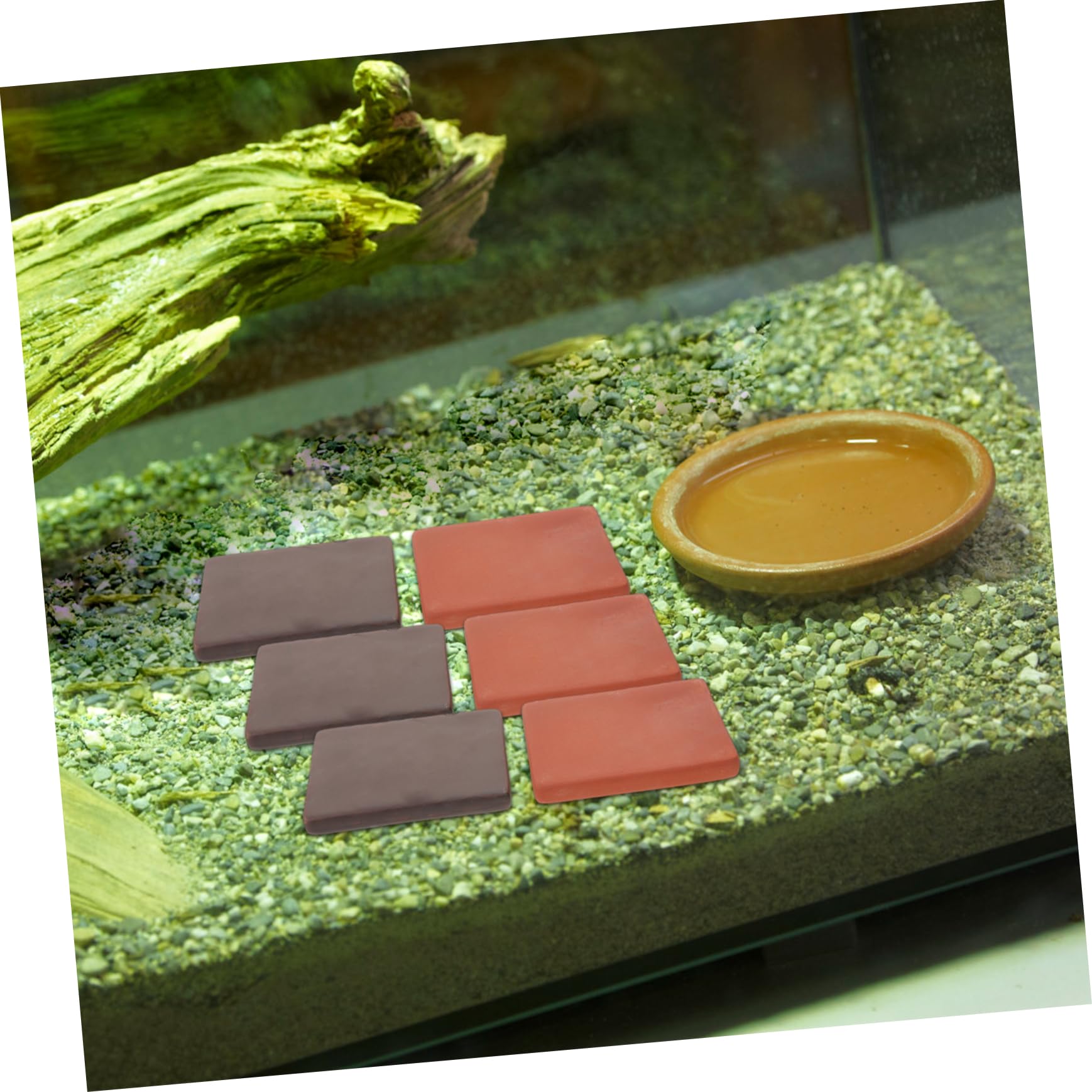 Gatuida 6 Piezas de Hechos Mano para Decoración de Terrarios de Tortugas Terrestres Bloques Resistentes y Seguros para Hábitats Naturales Acuarios y Terrarios