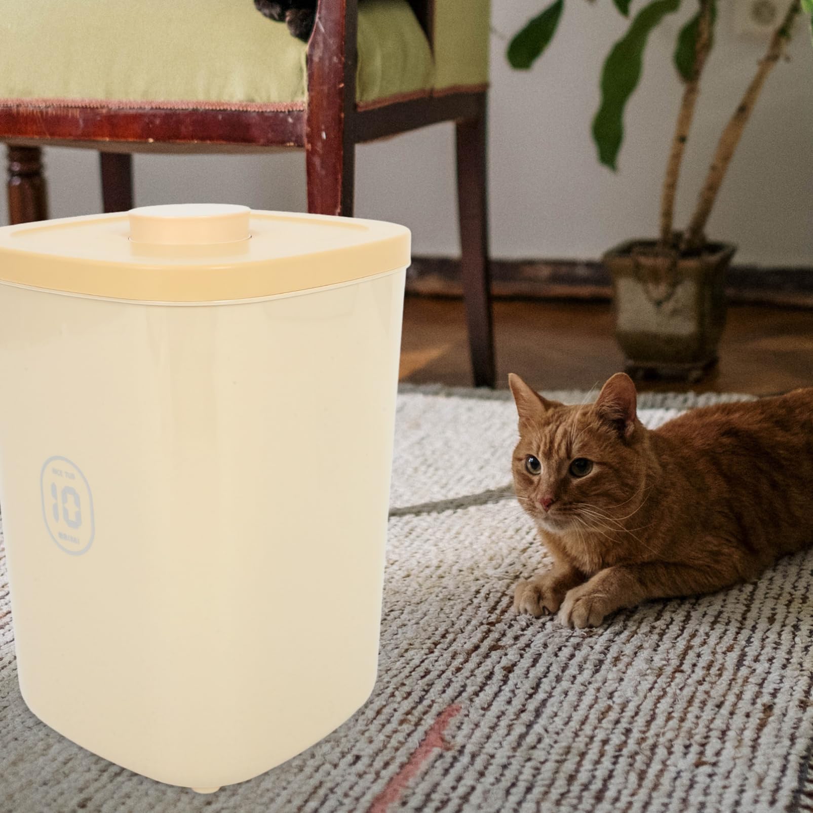 YARNOW Récipient Hermétique De Stockage De Nourriture Pour Chien Jusqu'à 22 Lb/10 Kg Boîte De Friandises Pour Animaux De Compagnie Récipient De Nourriture Pour Chat Bac En Plastique