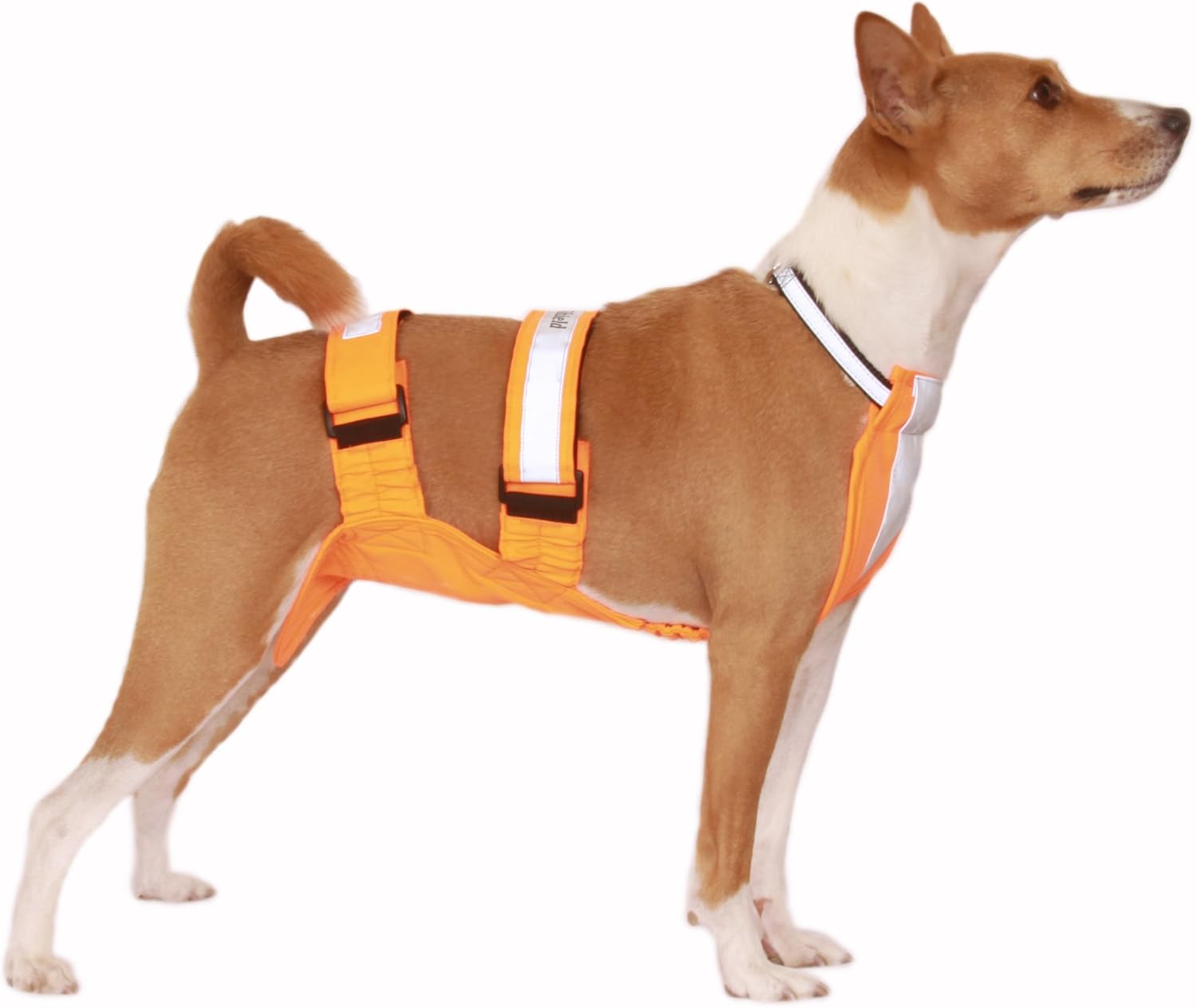 SportShield 12 to 16Inch Medium Pet Hunting Hiking Underbelly Walking