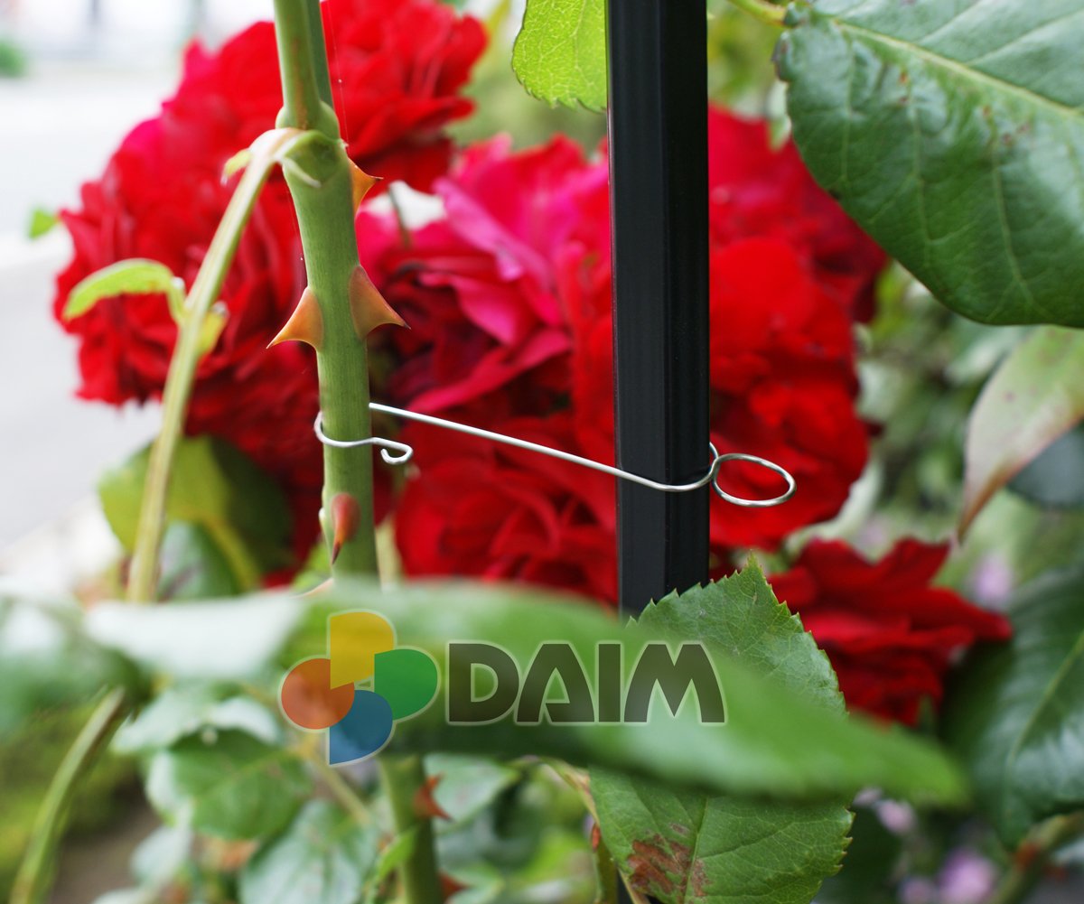 Amazon.co.jp: DAIM バラ用フック 20個入 7cm バラ 誘引 ばら 薔薇