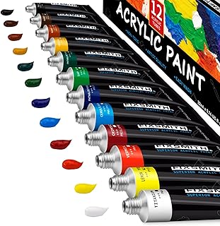FIXSMITH Acrylic Paint, Set of 12 Colors/Tubes (0.74 oz, 22 ml) with Storage Box, Non Fading, Non Toxic Paints for Artists...