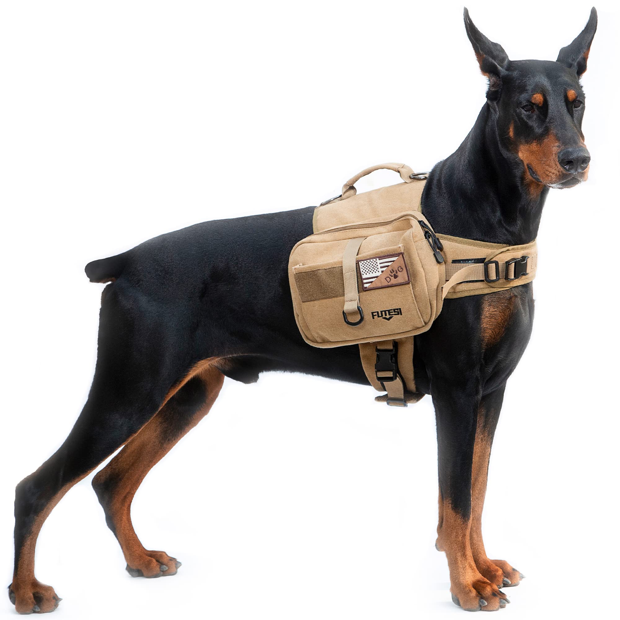 Should My Dog Wear A Backpack