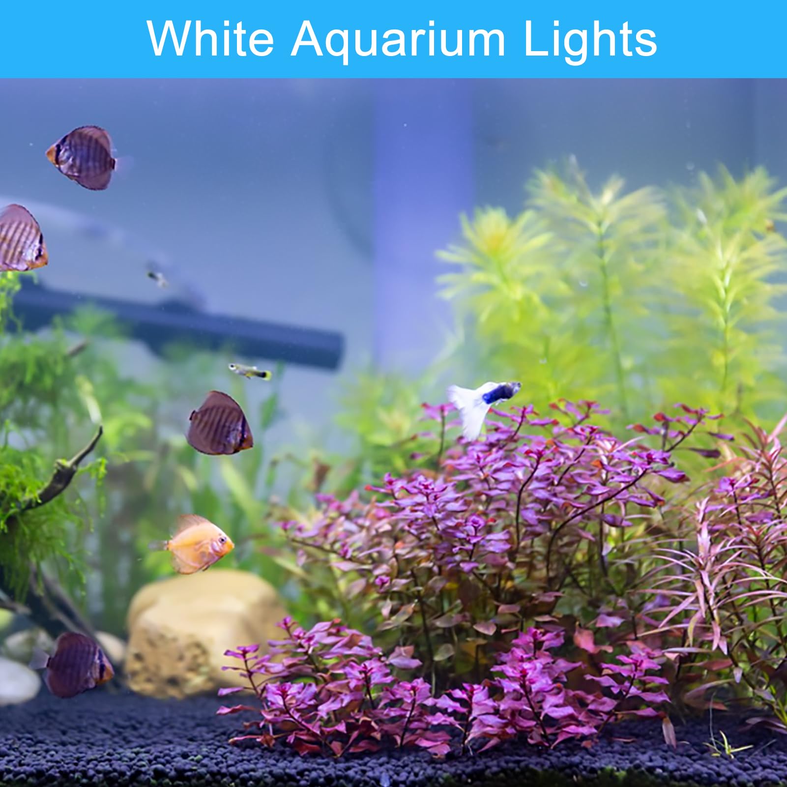 Aquarium Foco sumergible, Proyector a prueba de agua IP 68 Luz subacuática LED Luz de punto regulable multicolor con control remoto para acuario Jardín Estanque Piscina Tanque Fuente Fuente