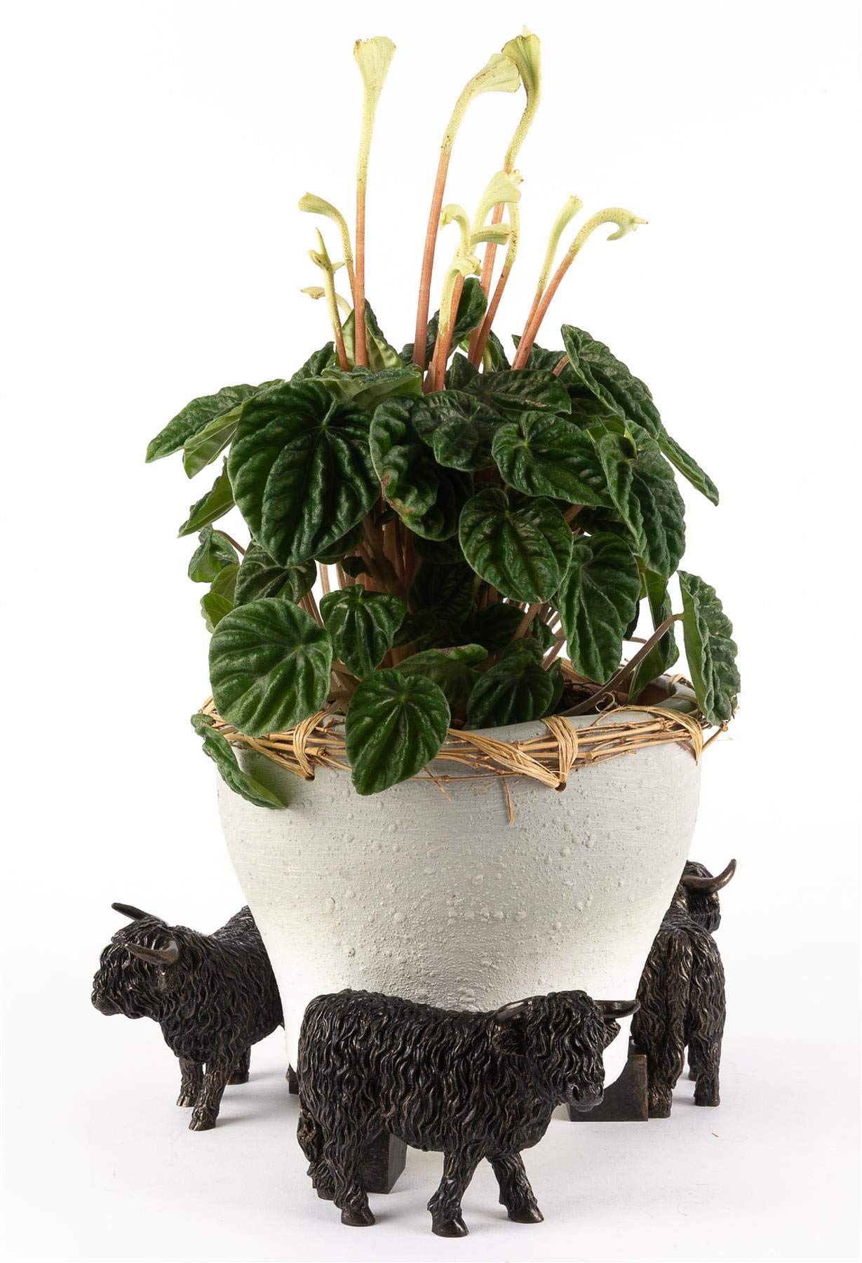 Potty Feet Hedgehog Figures Plant Pot Feet - Planter Support - Handmade Decorative Ornaments - 3pcs — view 73