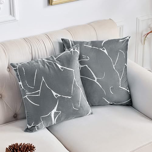 Vista 19 de FY FIBER HOUSE Juego de 2 fundas de almohada de terciopelo de 18 x 18 pulgadas, fundas de almohada cuadradas decorativas suaves, para cama, sofá