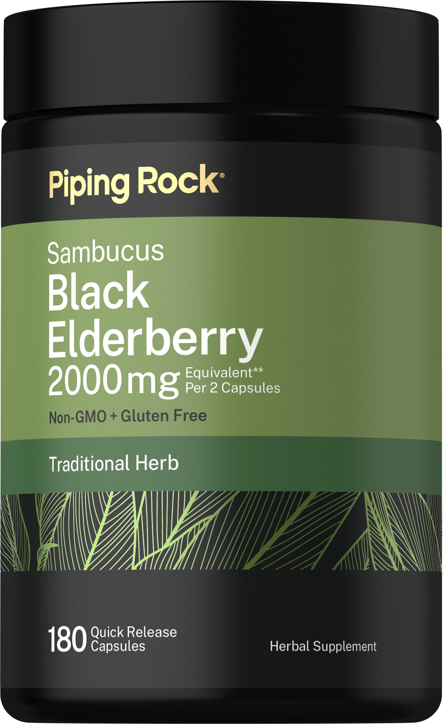 Piping Rock Black Elderberry