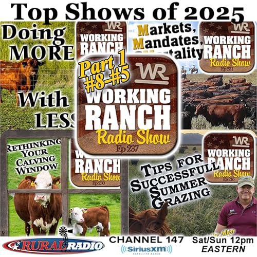 Ep 237: Top Shows of 2025 Part 1: Highlights from #8&ndash;#5