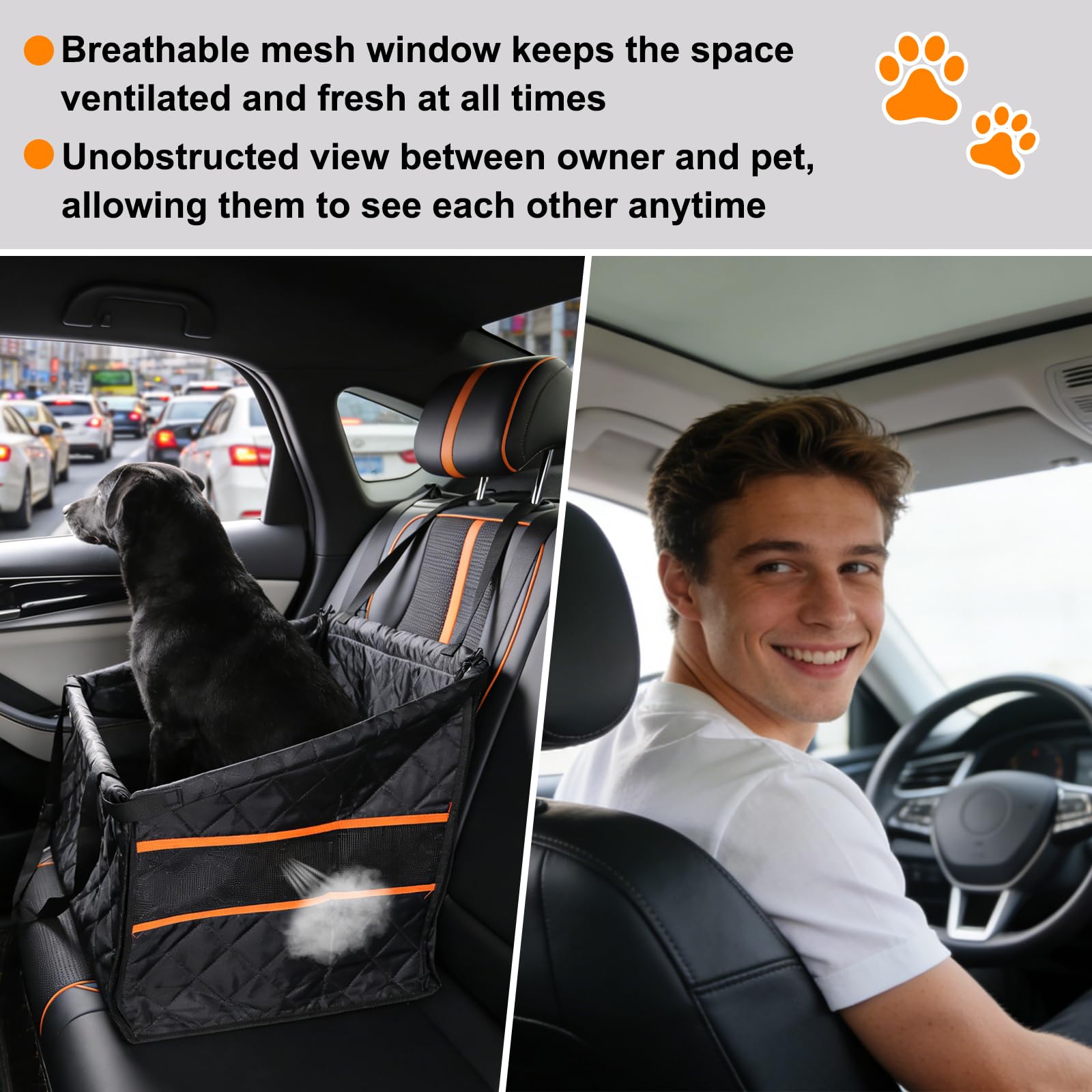 Siège arrière de voiture pour chien - Siège auto pour petits chiens - Extra stable - Avec ceinture de sécurité - Pliable - Pour petits animaux de compagnie - Imperméable