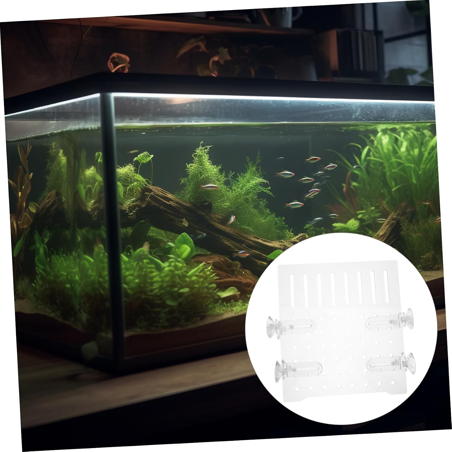Milisten Aquariums Divider: Acrylic Isolation Grid Board Micro Hole Isolation Plate for Preventing Fish Suitable for Aquarium Sizes